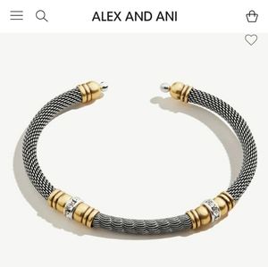 Alex and Ani bracelet